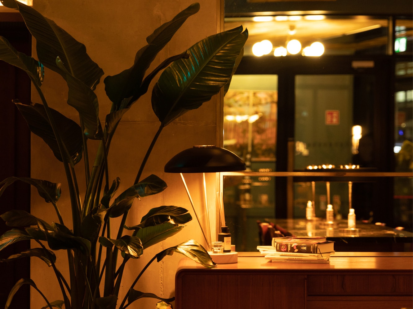 Lobby area with plant and books